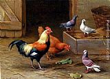 Chickens, Pigeons and a Dove by Edgar Hunt